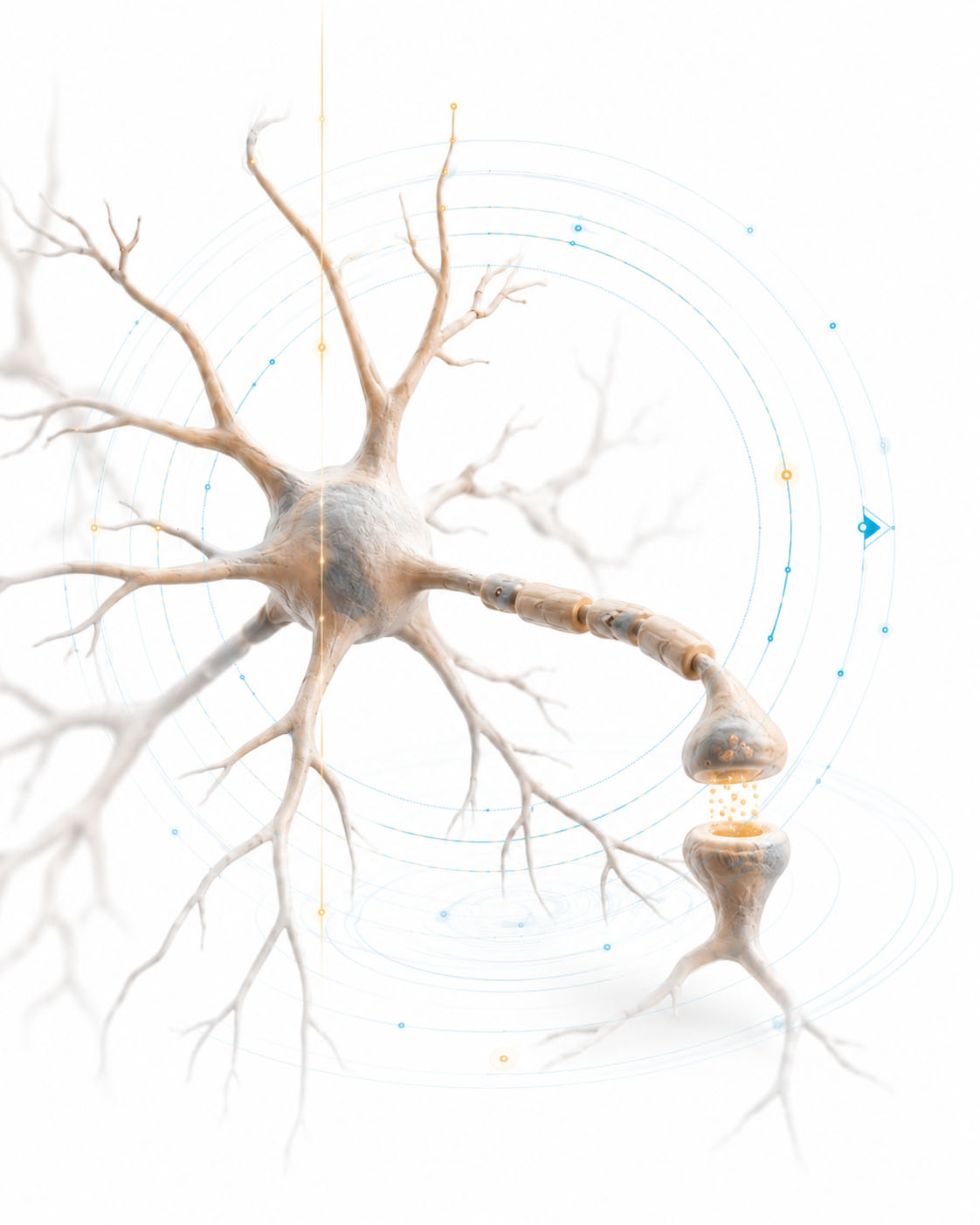 Grafismo de bases neurofisiológicas